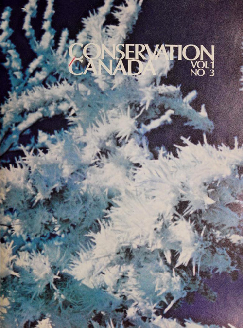 magazine cover