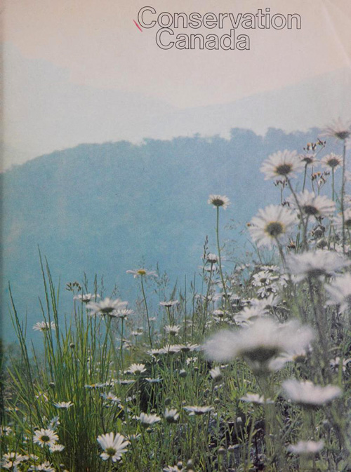 magazine cover