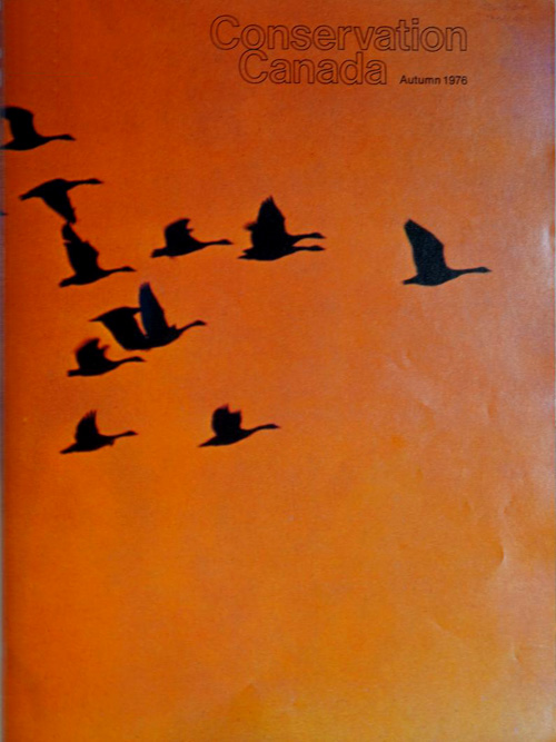 magazine cover